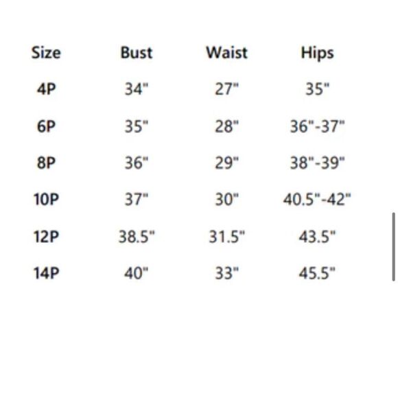 NWT R&M Richards Faux Two-Piece Pant Set with Metallic Details - Picture 6 of 12